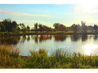 Tract 8 - LAND AUCTION - 440+/- Acres offered in 15 Tracts in Tulsa County